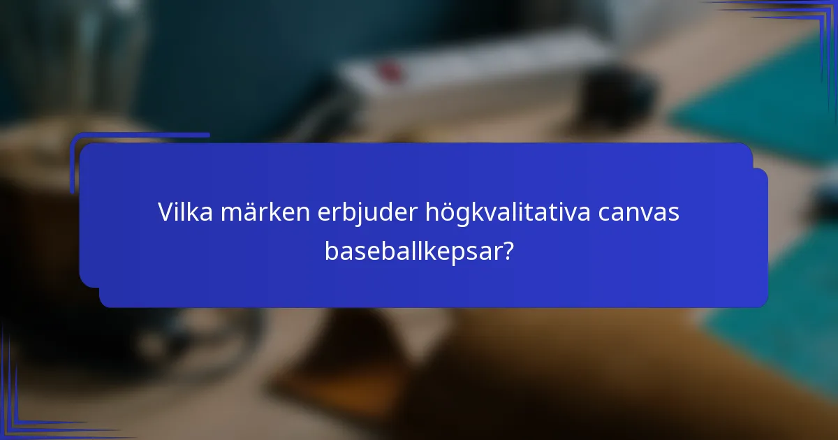 Vilka märken erbjuder högkvalitativa canvas baseballkepsar?