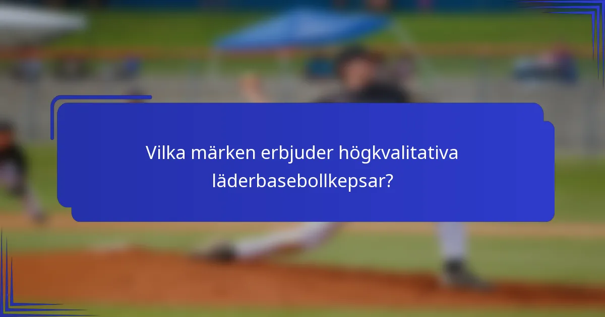 Vilka märken erbjuder högkvalitativa läderbasebollkepsar?